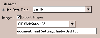 Choose how you would like the files named and your export settings