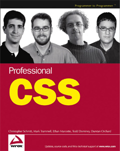 Professional CSS book cover