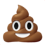 Poo