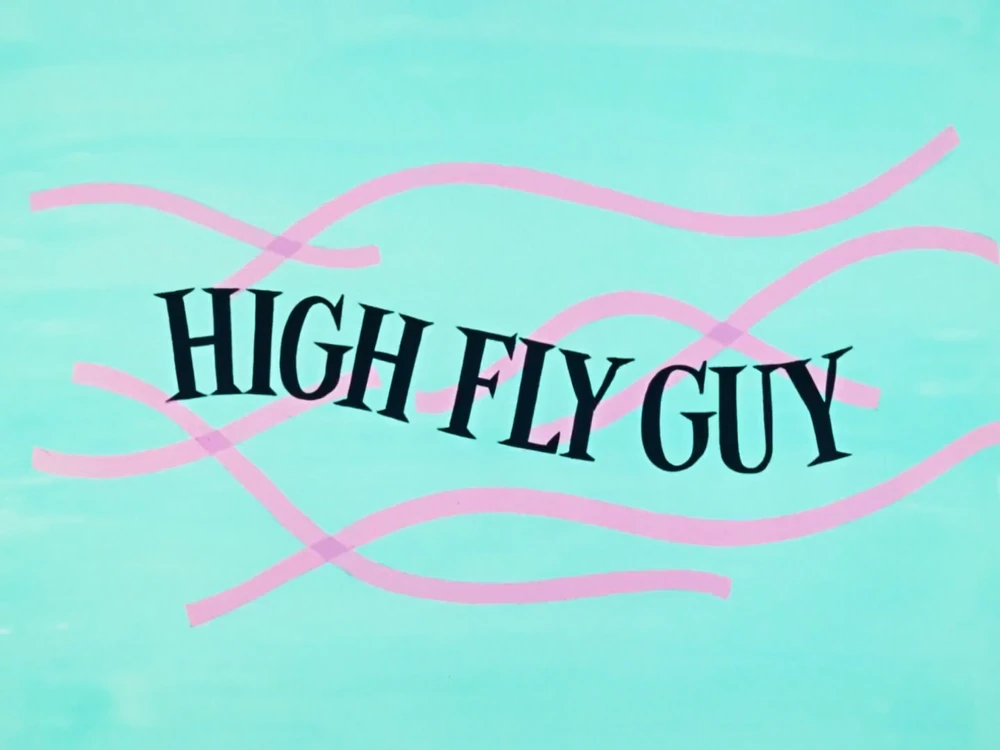 High Fly Guy