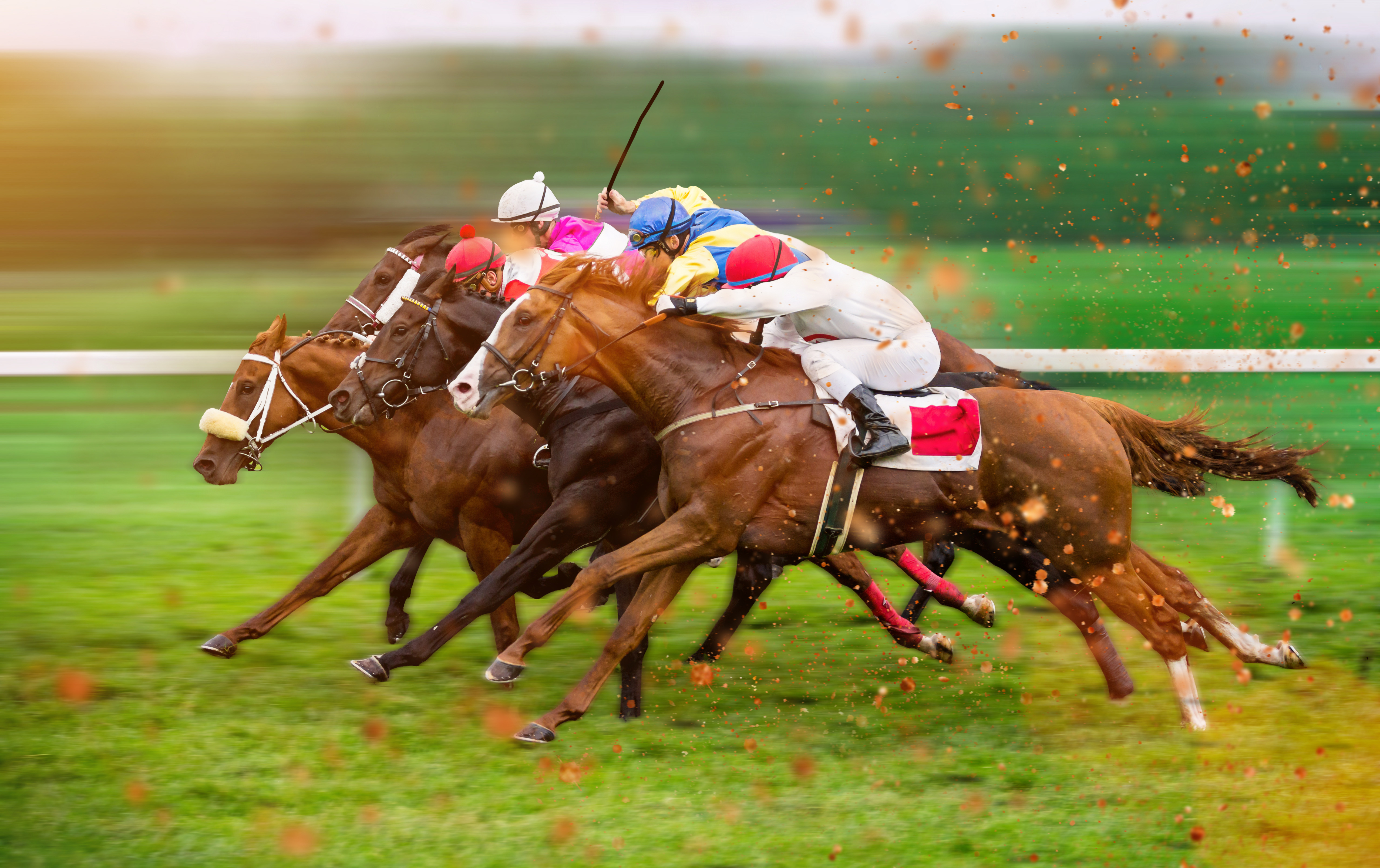 Photograph of a horse race