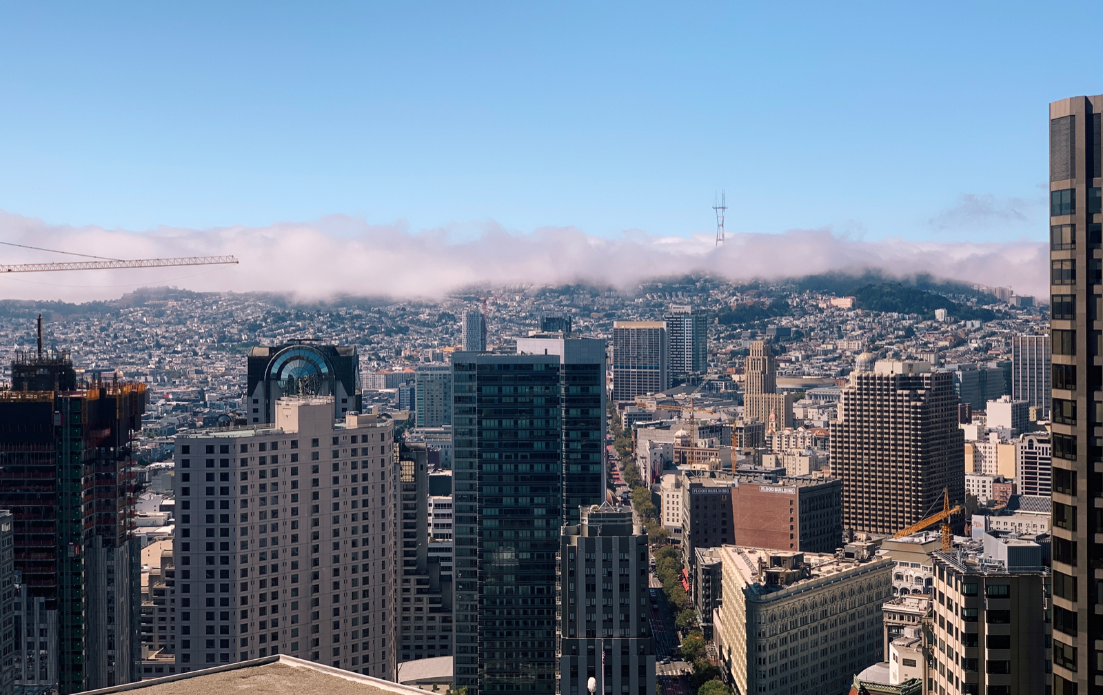 Photograph of San Francisco
